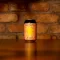 Sunbeast (5.5%)