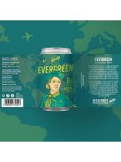 Evergreen NEIPA (6%) - 0.33 L dobozos