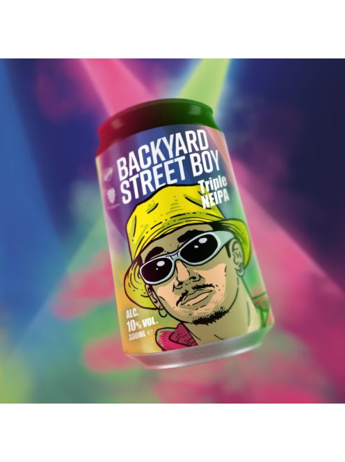 Backyardstreet Boy x FOLKINGEBREW (9.5%) - 0.33 L can
