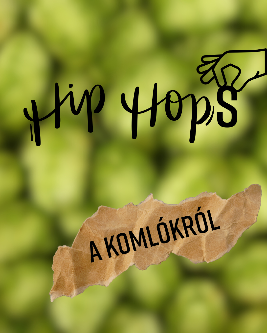 Sörkisokos #11 - A komlókról